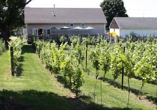 ويسترلي The Langworthy Inn & Winery المظهر الخارجي الصورة